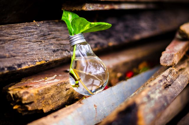 La creatividad y el talento tienen premio